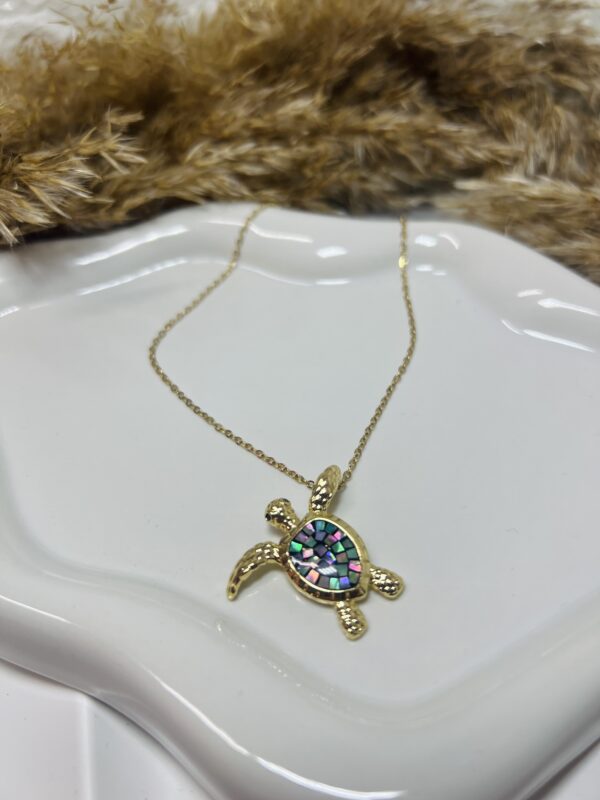 ΚΟΛΙΈ TURTLE ΙΡΙΔΊΖΩΝ