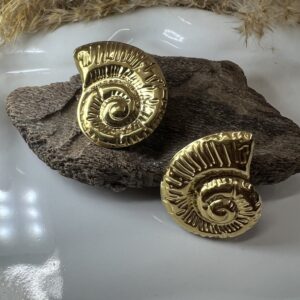 Carved Sea Shell